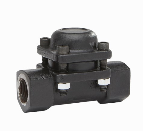 DM10E Steam Trap